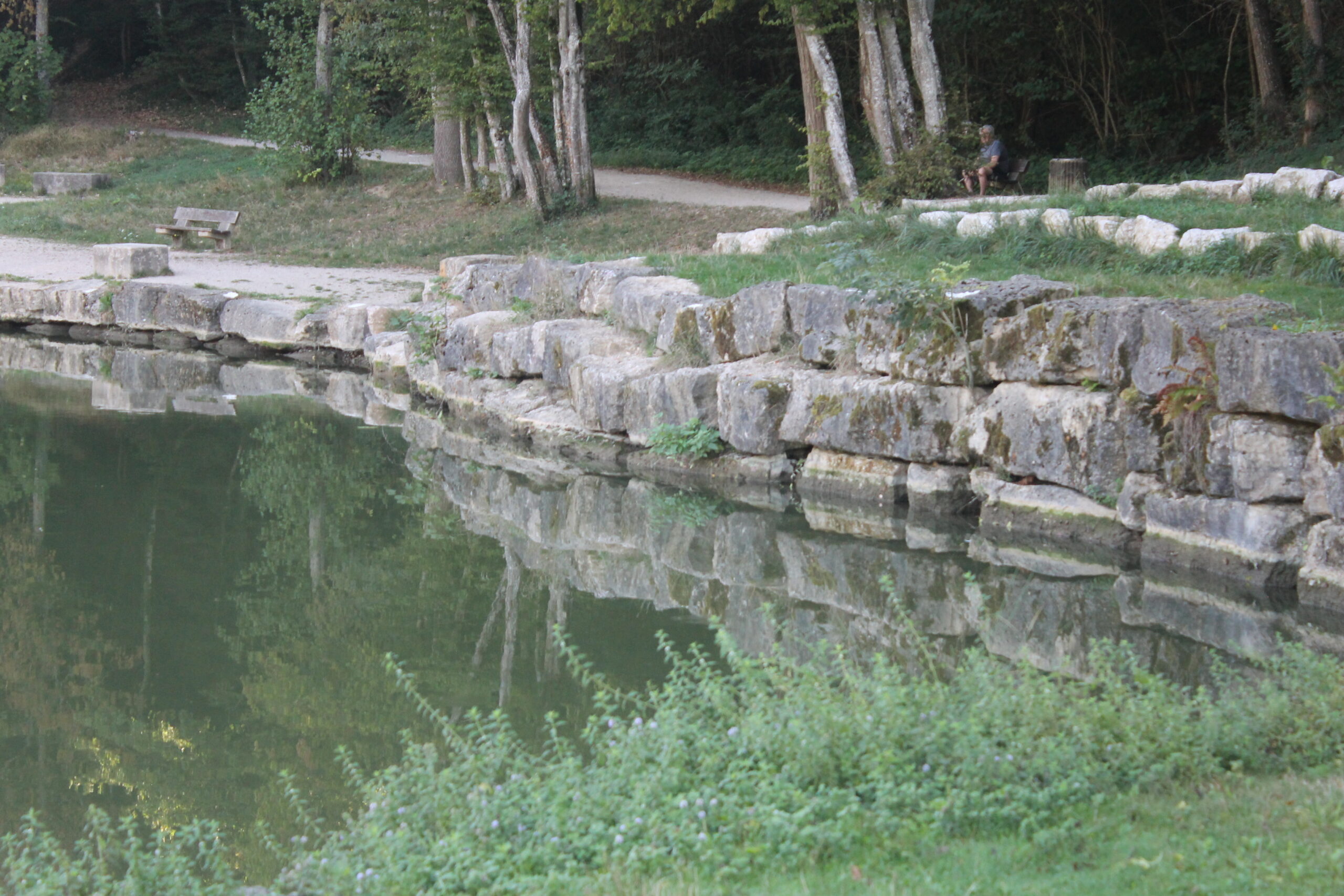 Niveau d'eau de l'étang de Rosière